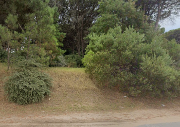 Lote Exclusivo en el Corazon del Bosque y a Pasos del Mar